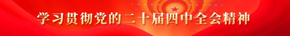 二十大精神